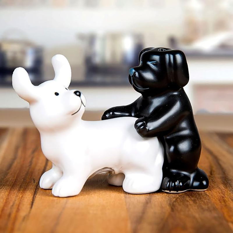 Kitchen Gadgets Novelty - Czarno-biały ceramiczny zestaw solniczek i pieprzniczek